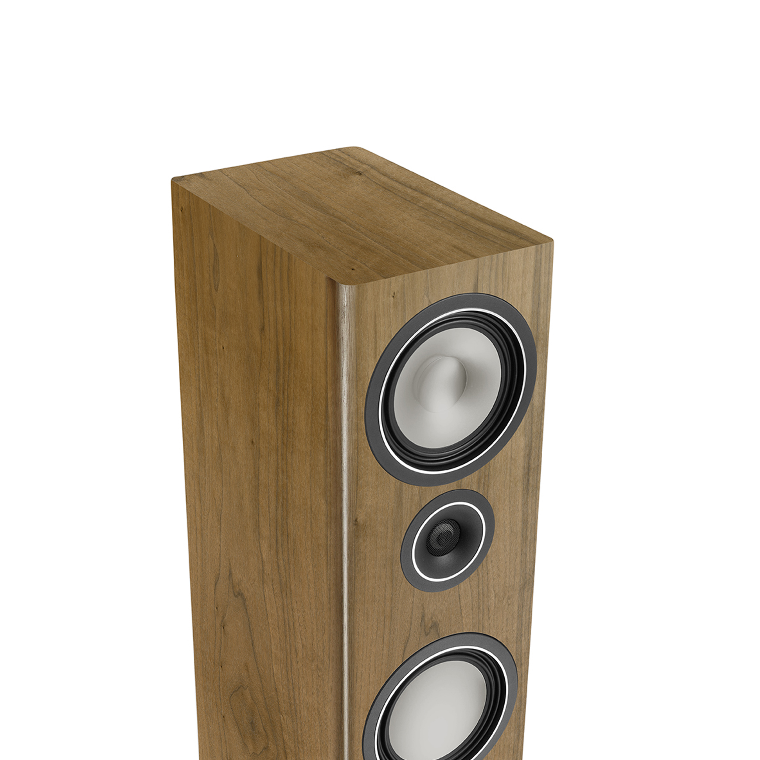 1651023248316997.jpg 1651023248316997.jpg