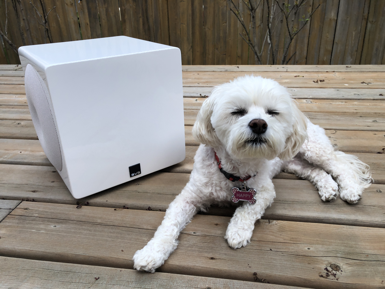 1697421075794553.png 1697421075794553.png