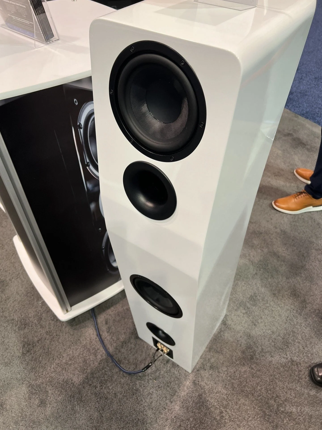 1705290353836306.png 1705290353836306.png