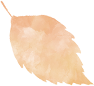 1725242016304566.png 580664dc1a3115f5d4f5ad93c505ece0.png